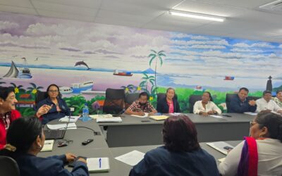 Anden expresa orgullo por orden Enmanuel Mongalo y Rubio