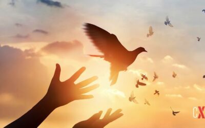 La Paz es el Patrimonio Supremo de la Humanidad