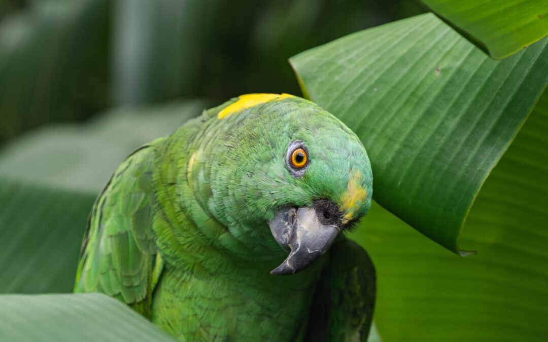 Medio Ambiente